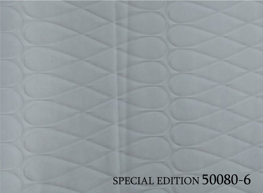 SPECIAL EDITION 50080-6